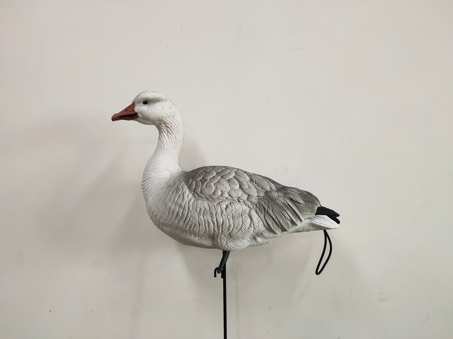 Molded Snow, Blue & Juvie Goose Decoy PRE ORDER