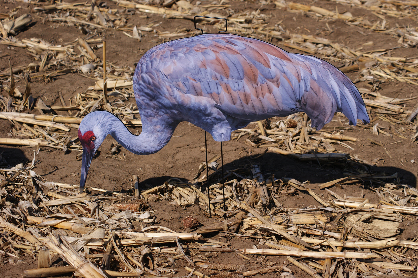 Cranes