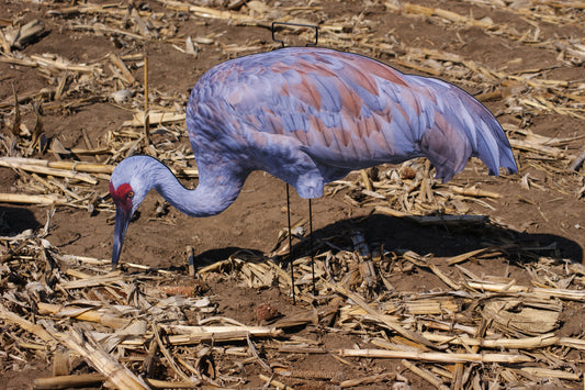 Cranes