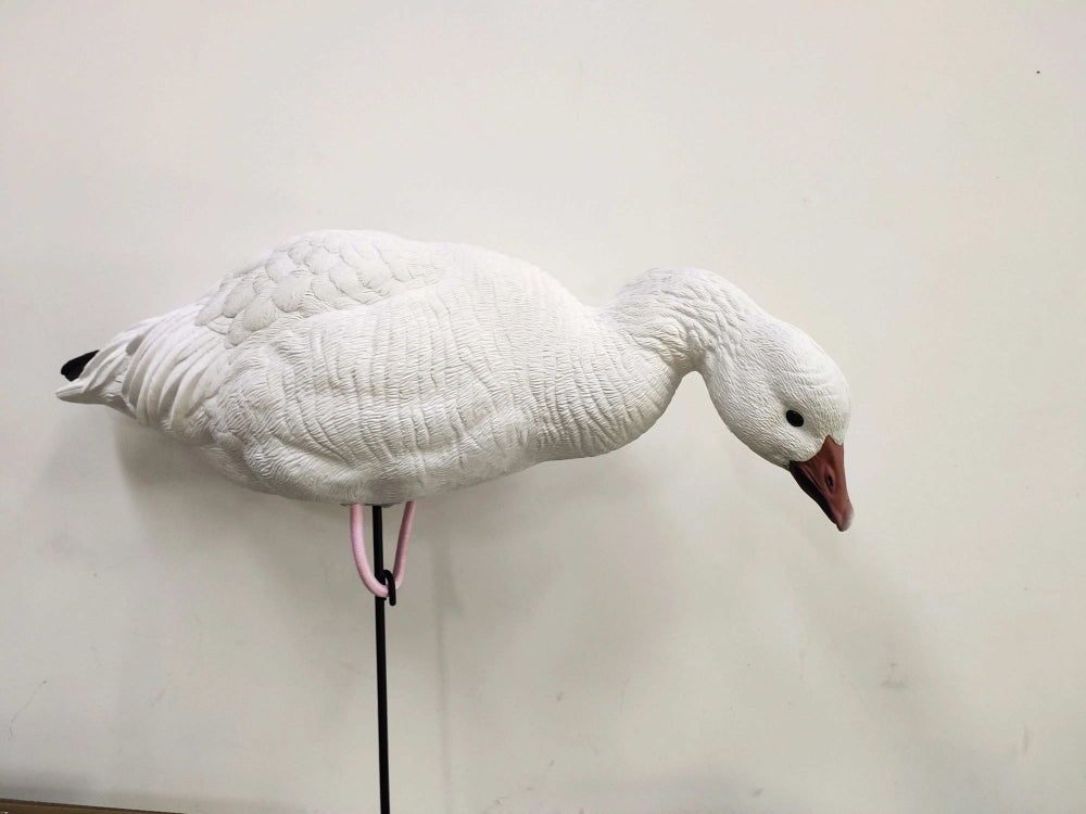 Molded Snow, Blue & Juvie Goose Decoy PRE ORDER