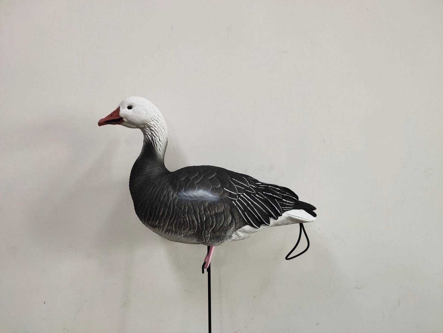 Molded Snow, Blue & Juvie Goose Decoy PRE ORDER