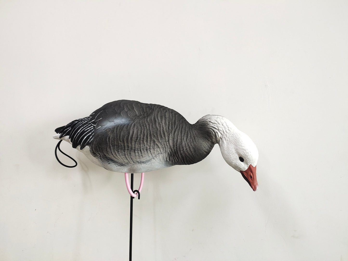 Molded Snow, Blue & Juvie Goose Decoy PRE ORDER