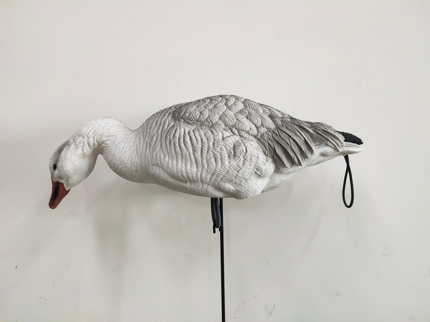 Molded Snow, Blue & Juvie Goose Decoy PRE ORDER