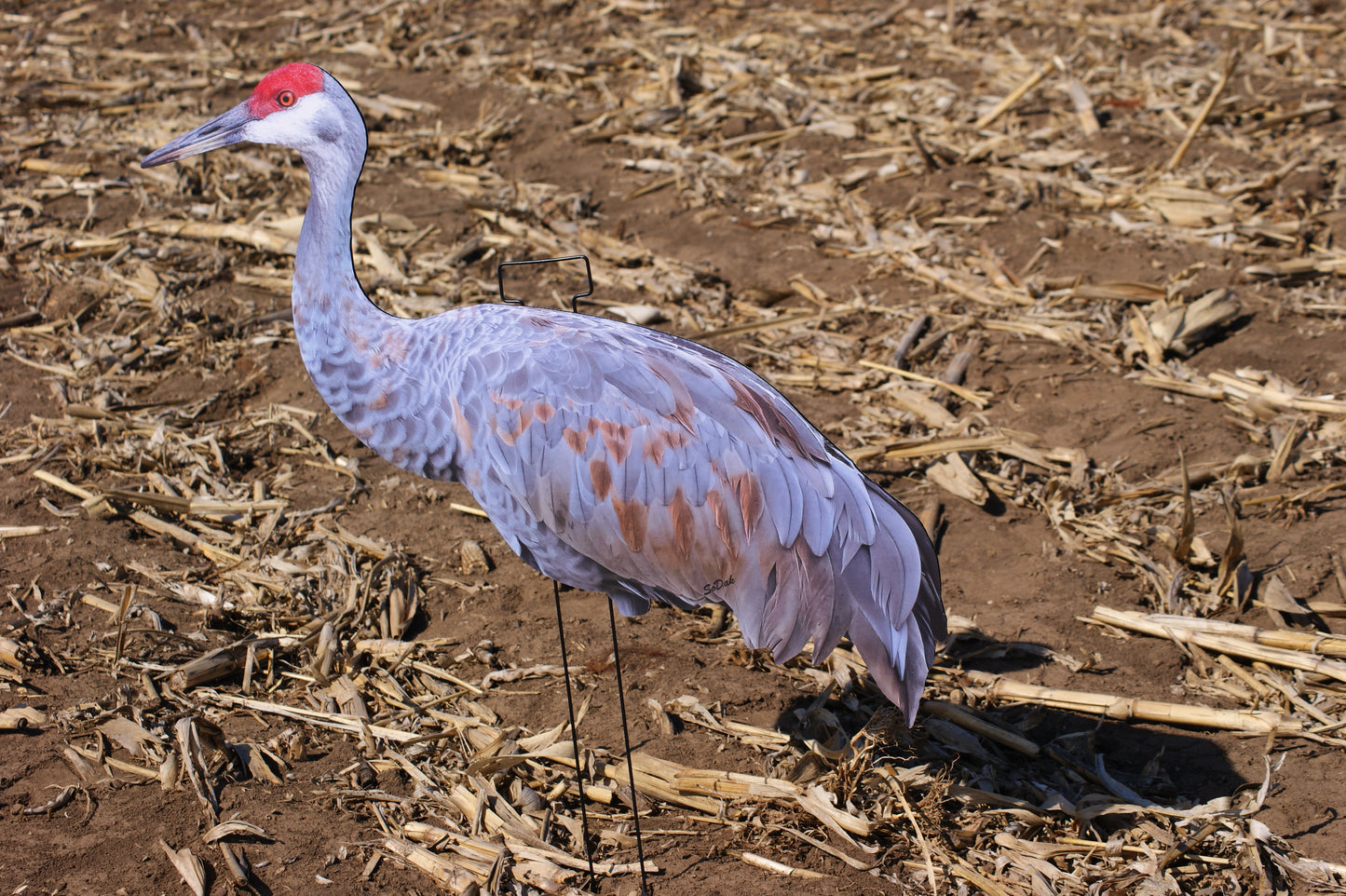 Cranes