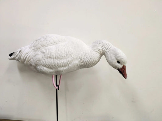 Molded Snow, Blue & Juvie Goose Decoy PRE ORDER